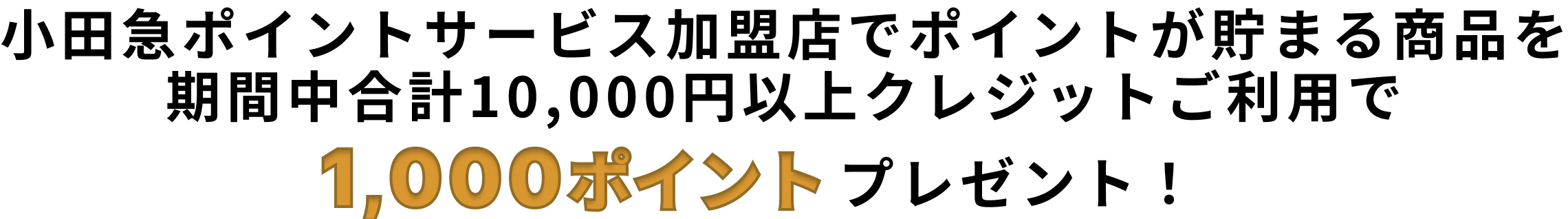 小田急ポイントサービス加盟店でポイントが貯まる商品を期間中合計10,000円以上クレジットご利用で1,000ポイントプレゼント!