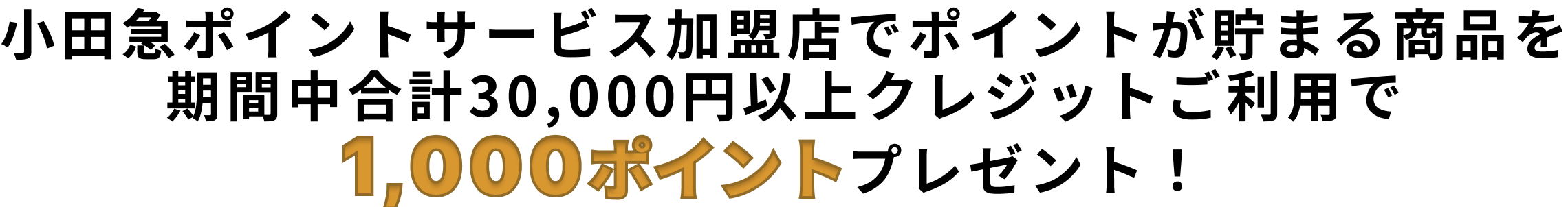 小田急ポイントサービス加盟店でポイントが貯まる商品を期間中合計30,000円以上クレジットご利用で1,000ポイントプレゼント!